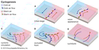 Picture of Explosive cyclogenesis