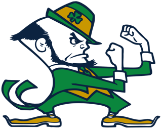 Picture of Notre Dame Fighting Irish