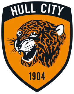 Picture of Hull City