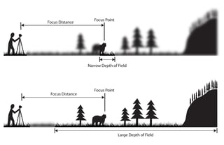 Picture of Depth of field
