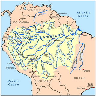Picture of Amazon basin