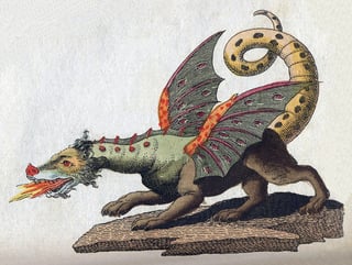 Picture of Dragon