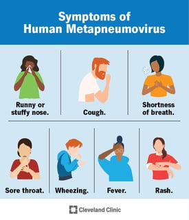Picture of Human metapneumovirus