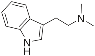 Picture of N,N-Dimethyltryptamine