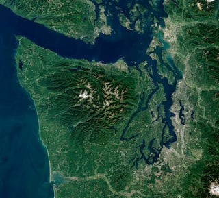 Picture of Olympic Peninsula