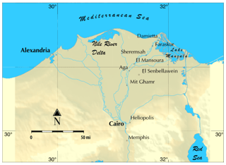Picture of Nile Delta