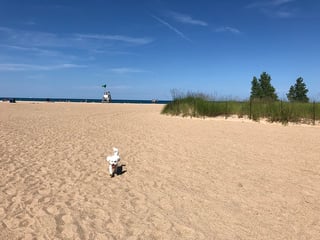 Picture of Rogers Park