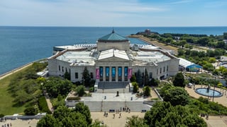 Picture of Shedd Aquarium