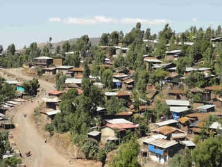 Picture of Lalibela