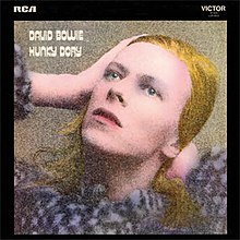 Picture of Hunky Dory