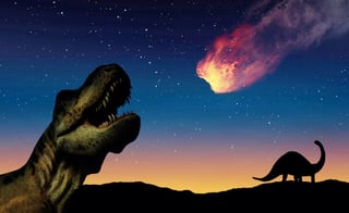 Picture of Extinction event