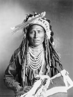 Picture of Shoshone