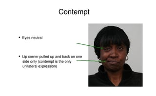 Picture of Contempt