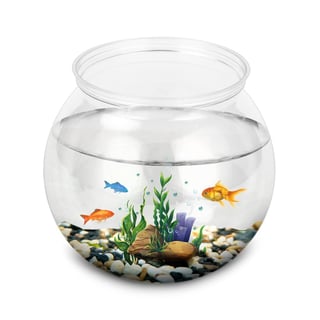 Picture of Fishbowl