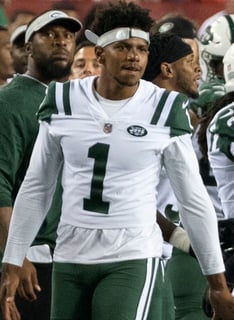 Picture of Terrelle Pryor
