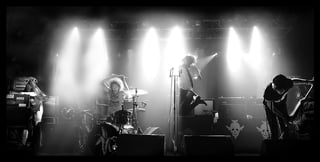 Picture of The Dandy Warhols