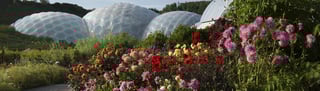 Picture of Eden Project