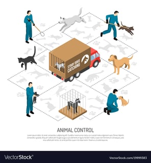 Picture of Animal control service