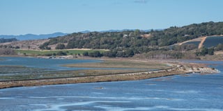 Picture of Elkhorn Slough