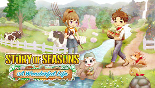 Picture of Story of Seasons