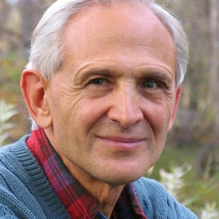 Picture of Peter A. Levine