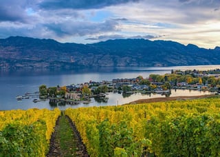 Picture of Okanagan