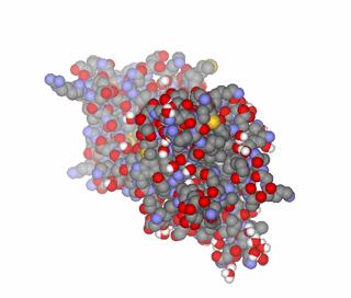 Picture of Brain-derived neurotrophic factor
