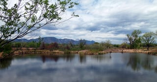 Picture of Fountain Creek