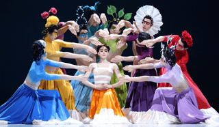 Picture of Dutch National Ballet