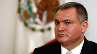 Picture of Genaro García Luna