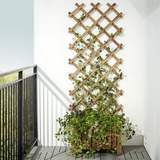 Picture of Trellis