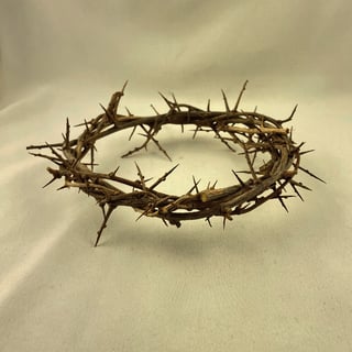 Picture of Crown of thorns