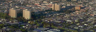 Picture of Collingwood