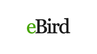 Picture of eBird