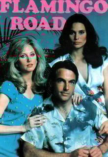 Picture of Flamingo Road