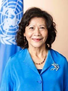 Picture of Special Envoy of the Secretary-General