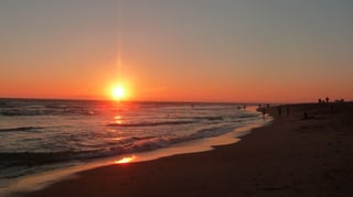 Picture of Bolsa Chica State Beach