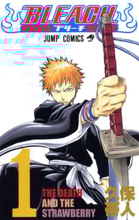 Picture of Bleach