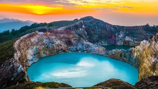 Picture of Flores