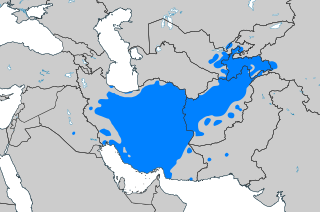 Picture of Persian