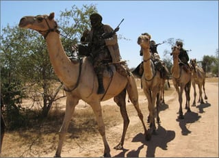 Picture of Janjaweed