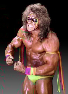 Picture of The Ultimate Warrior