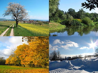 Picture of Season