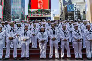 Picture of Fleet Week