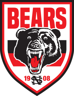 Picture of North Sydney Bears