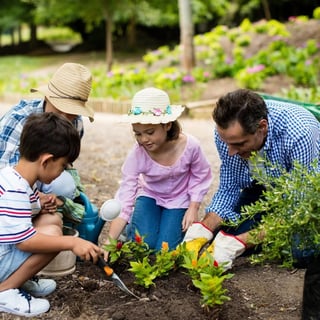 Picture of Gardening