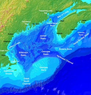 Picture of Gulf of Maine