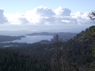 Picture of Sooke