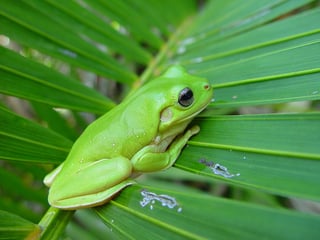 Picture of Stock photography