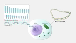 Picture of Genome